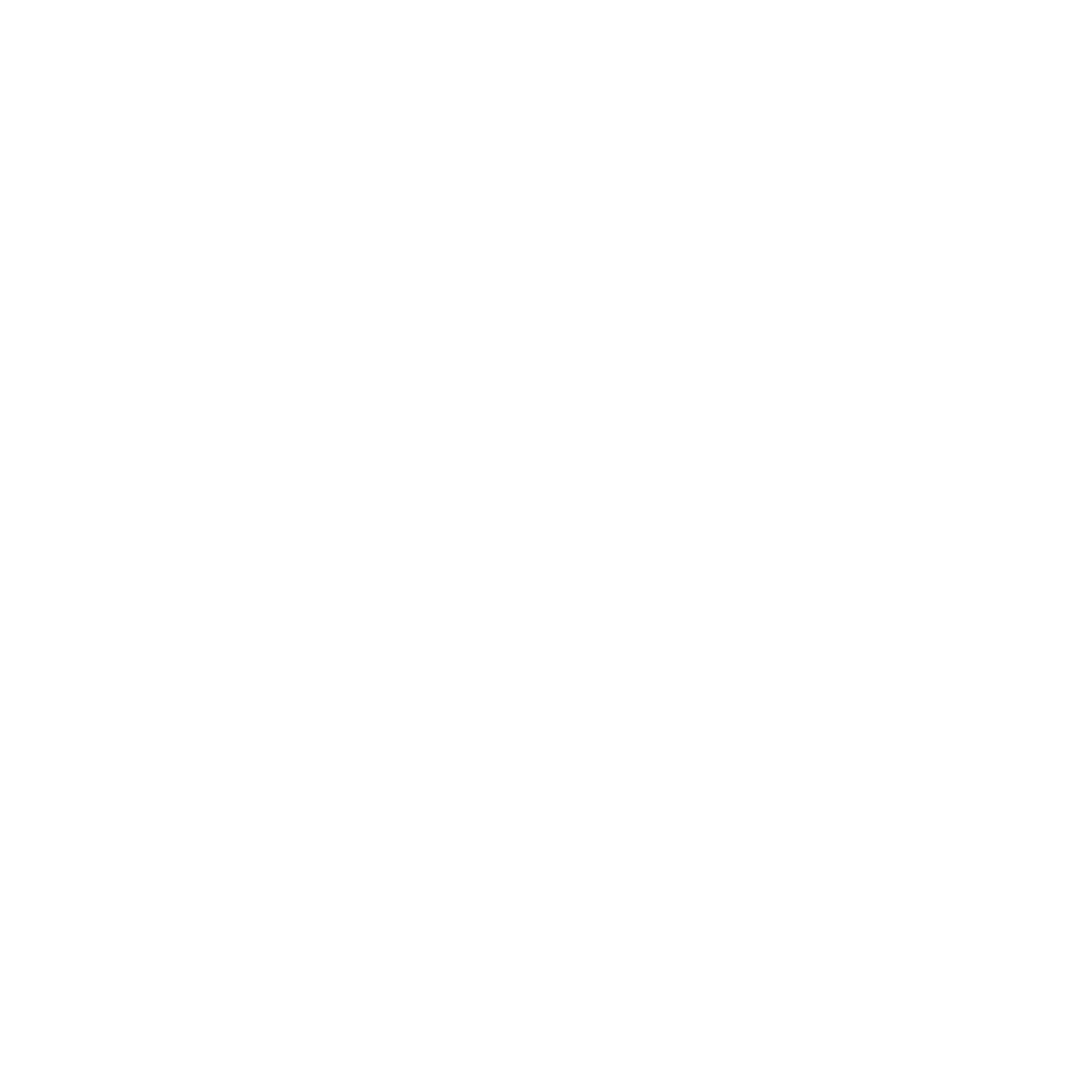 Ô tô Nam Việt